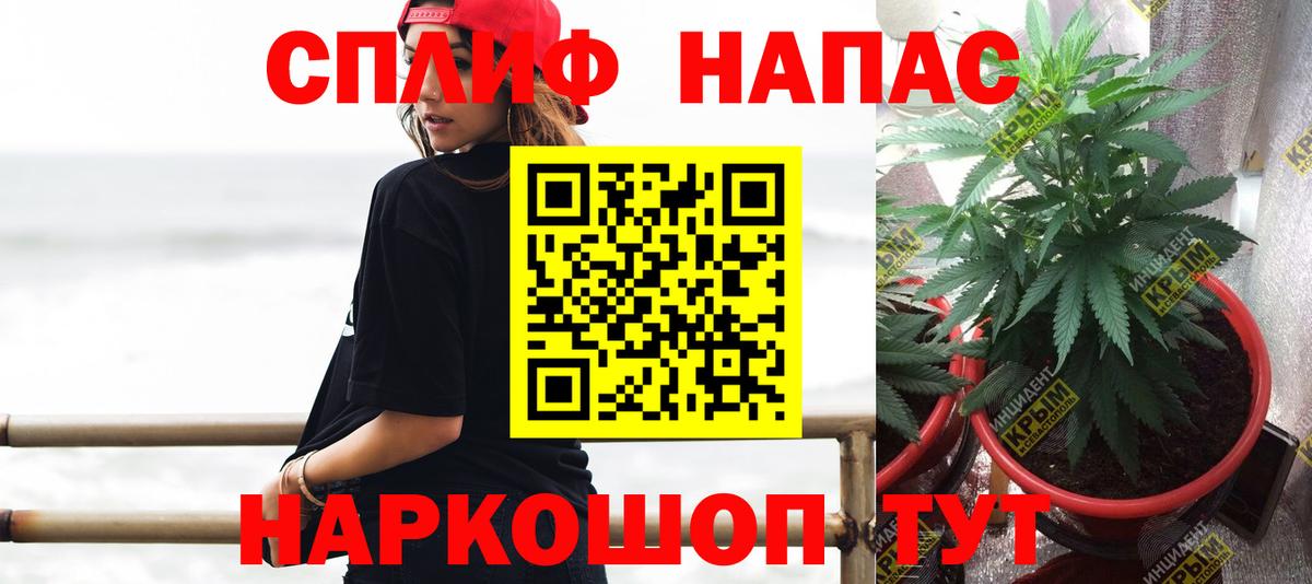Конопля гибрид  МАРИХУАНА AK-47  Вход с VPN  Благодарный  Бошки Шишки индика  Шишки марихуана марихуана 